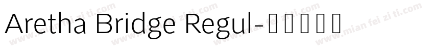 Aretha Bridge Regul字体转换